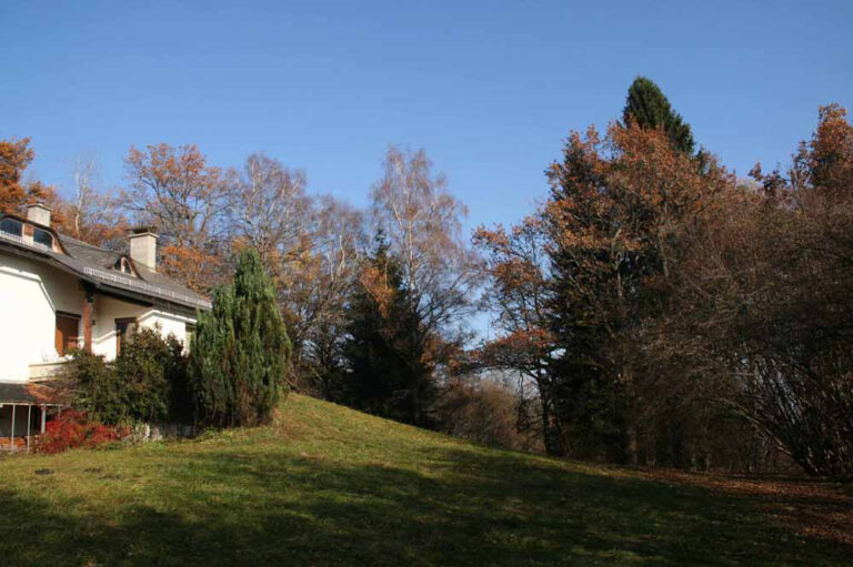 Haus in der Natur bei Kärnten kaufen